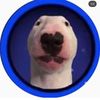 marquisdabeast35