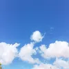 nguyenquynh_0