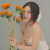 theshijcrystal