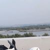 sobo_kali22