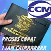 ccmfinanceciledug