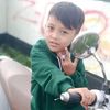 b3356fir