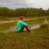 congluan_94_