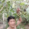 phuongnguyen6709