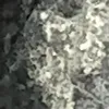 gethrdj