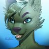 dmanfur