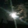 anonymously_smu77y