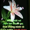 user82903121