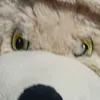 fssx20