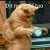 ronalhuydeptry