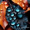 mohamedwahed919