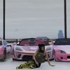 no_xylia_here