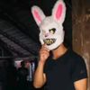 themaskedguyghost13