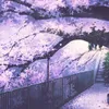 loveelf05