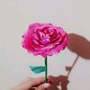 user27281970