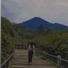 tigaapril