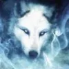 spectral_wolf