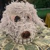 cjmurtha