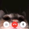 lovingcatx1