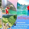 hongxiem23hagiang