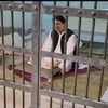 miqbalmiqbal31