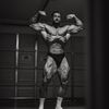 gym_rat84