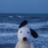 _mayvagio1
