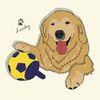 Golden House Pet Shop Lashio