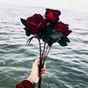 user273138511