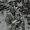 arslanjutt..281