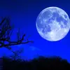 indigo_luna