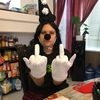 stinkypoopooalacaca