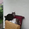 minhundje