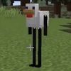 zacharybeneke
