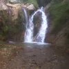 loi_15041988