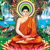 hanisj239