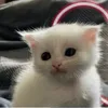 luisaqzzl