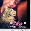 rockincatlady