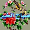 abomilad14