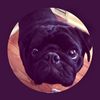mojotheblackpug