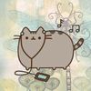 sharky_335