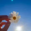 farhanabegum067