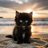mycats298