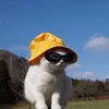 meiiank12