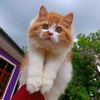 ebbymimie