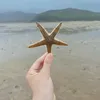 thudongg_