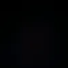 fede__199