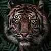 scothebrave