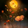 .niyanlatif