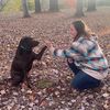 chaylse_dogmama